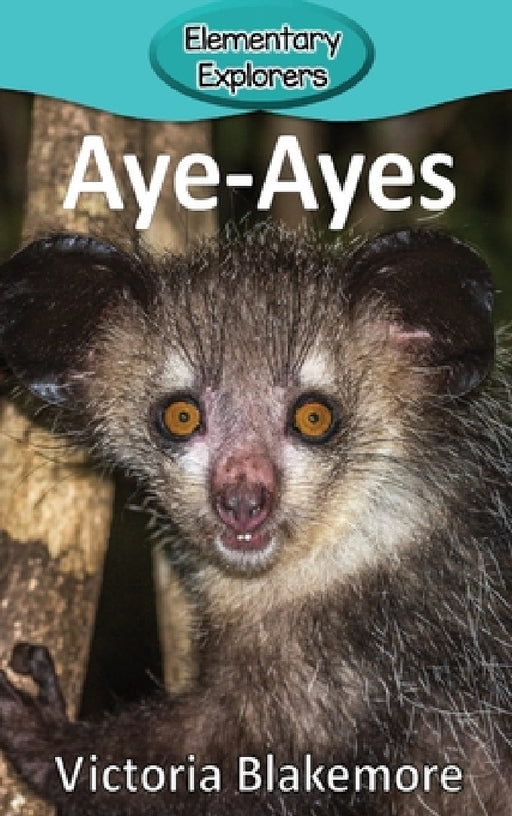 Aye-Ayes by Victoria Blakemore