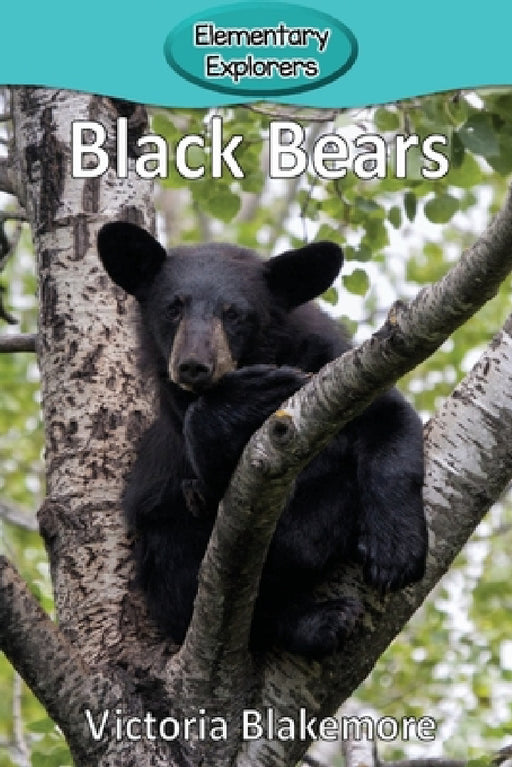 Black Bears by Victoria Blakemore