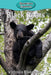Black Bears by Victoria Blakemore