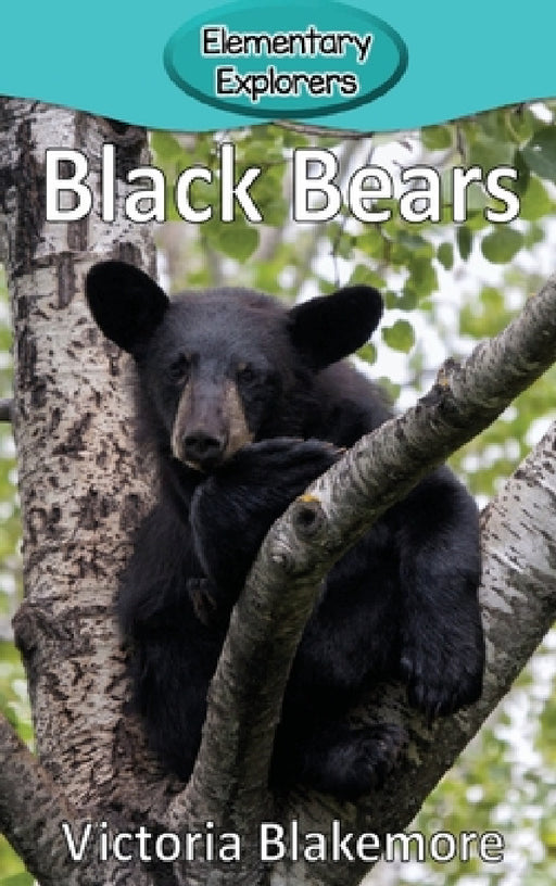 Black Bears by Victoria Blakemore