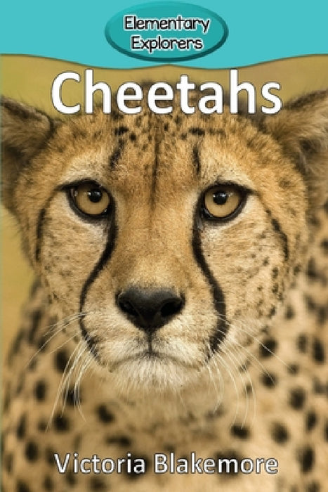 Cheetahs by Victoria Blakemore