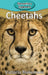 Cheetahs by Victoria Blakemore