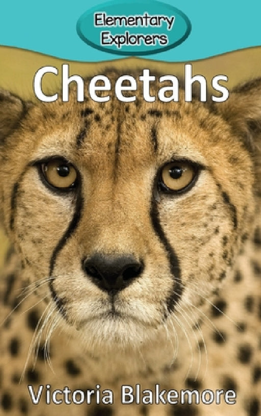 Cheetahs by Victoria Blakemore