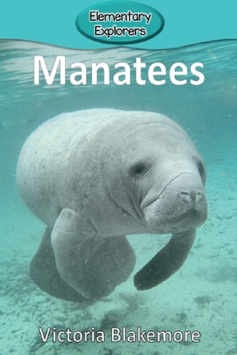 Manatees by Victoria Blakemore