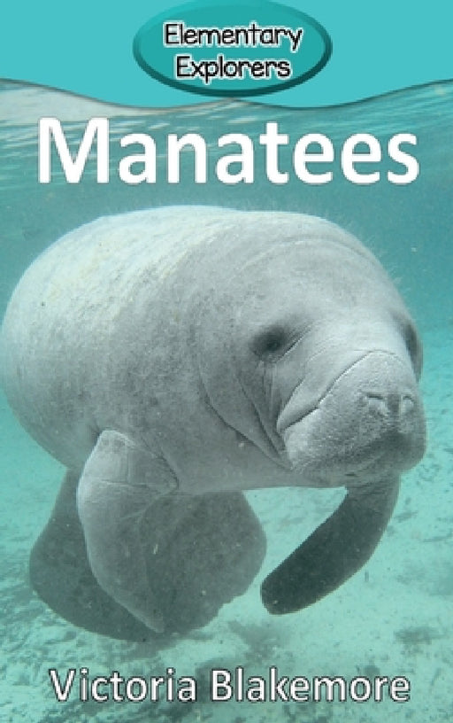 Manatees by Victoria Blakemore