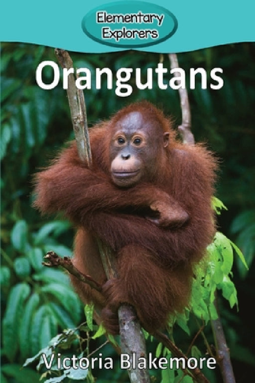 Orangutans by Victoria Blakemore