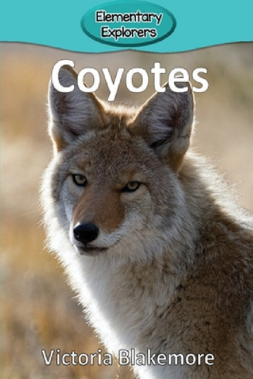 Coyotes by Victoria Blakemore