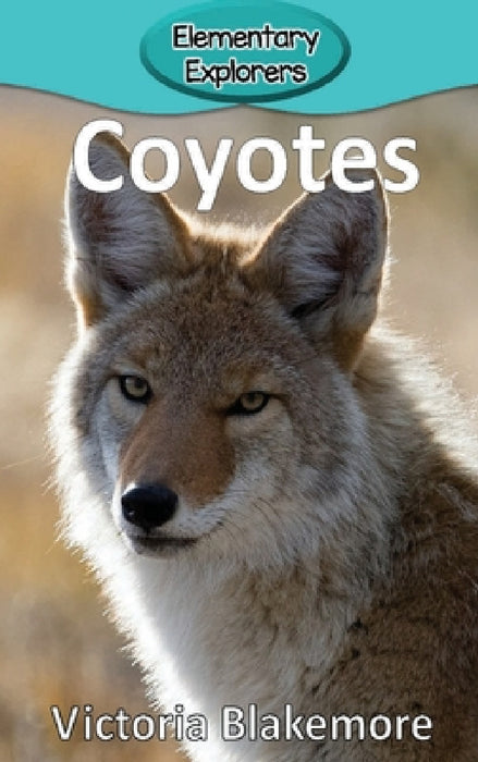 Coyotes by Victoria Blakemore