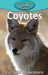 Coyotes by Victoria Blakemore