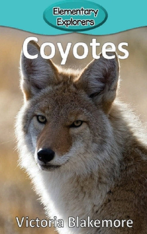 Coyotes by Victoria Blakemore
