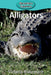 Alligators by Victoria Blakemore