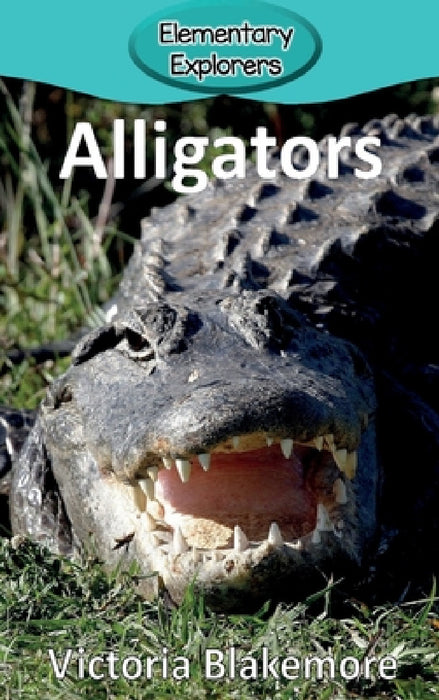 Alligators by Victoria Blakemore