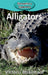 Alligators by Victoria Blakemore