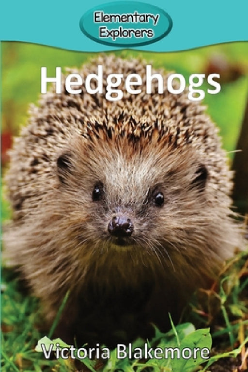 Hedgehogs by Victoria Blakemore