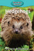 Hedgehogs by Victoria Blakemore