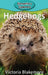 Hedgehogs by Victoria Blakemore