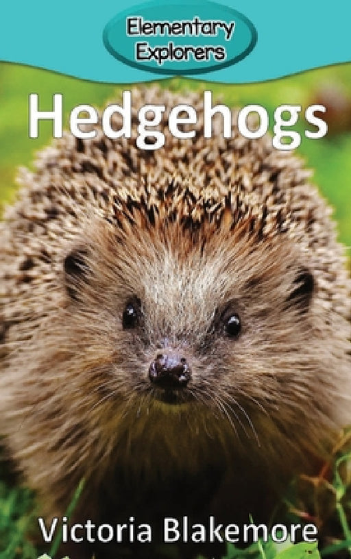 Hedgehogs by Victoria Blakemore