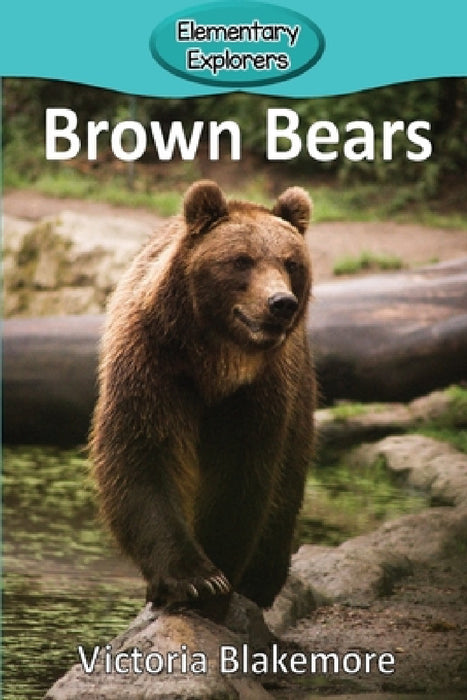 Brown Bears by Victoria Blakemore