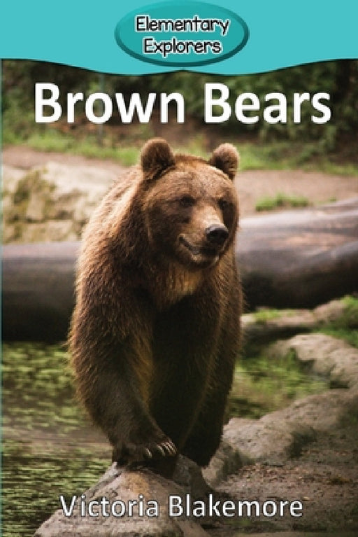 Brown Bears by Victoria Blakemore