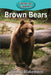 Brown Bears by Victoria Blakemore