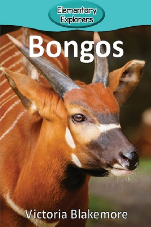 Bongos by Victoria Blakemore