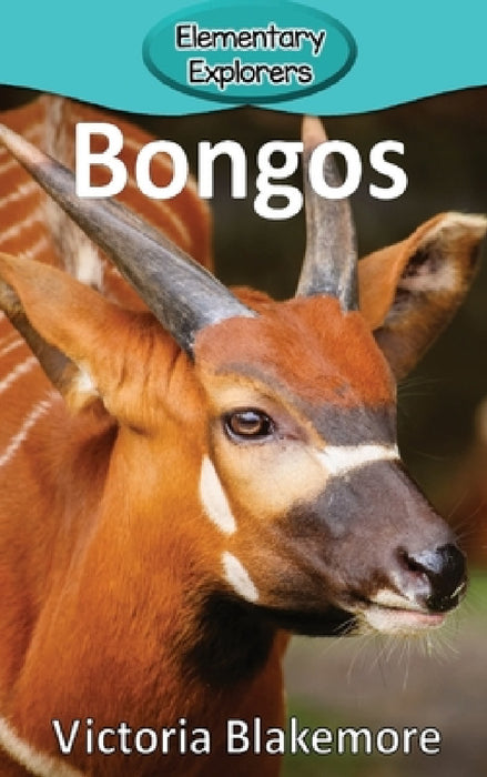 Bongos by Victoria Blakemore