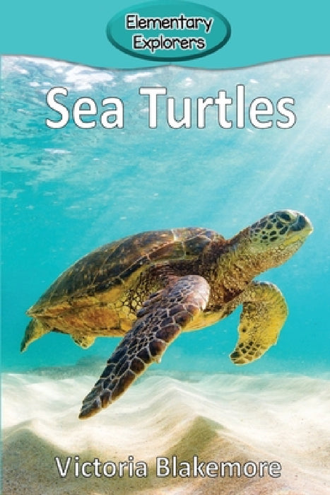 Sea Turtles by Victoria Blakemore