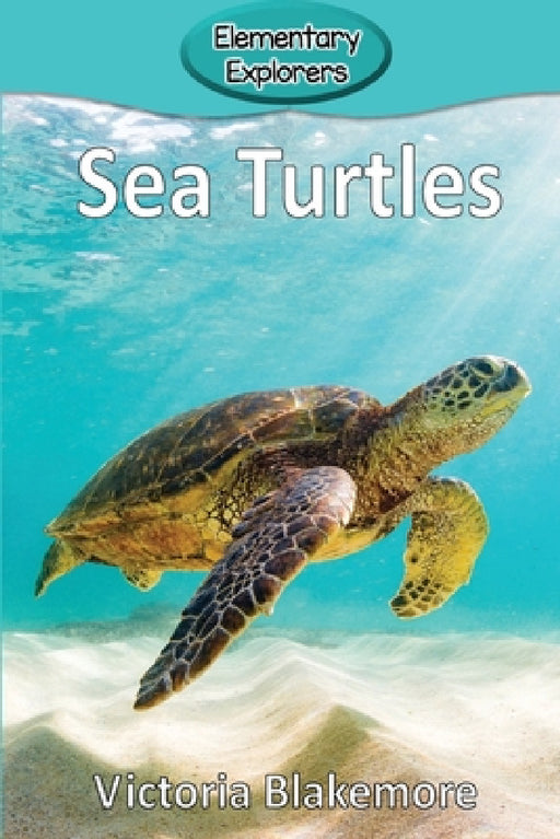Sea Turtles by Victoria Blakemore