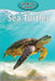 Sea Turtles by Victoria Blakemore