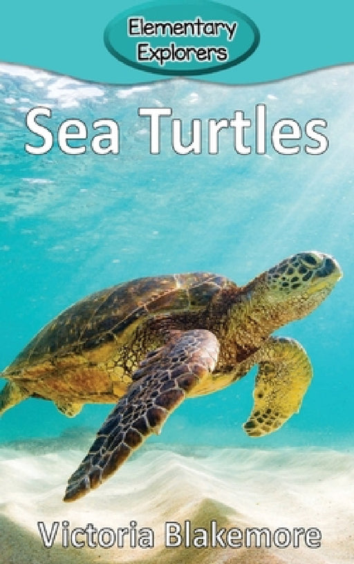 Sea Turtles by Victoria Blakemore