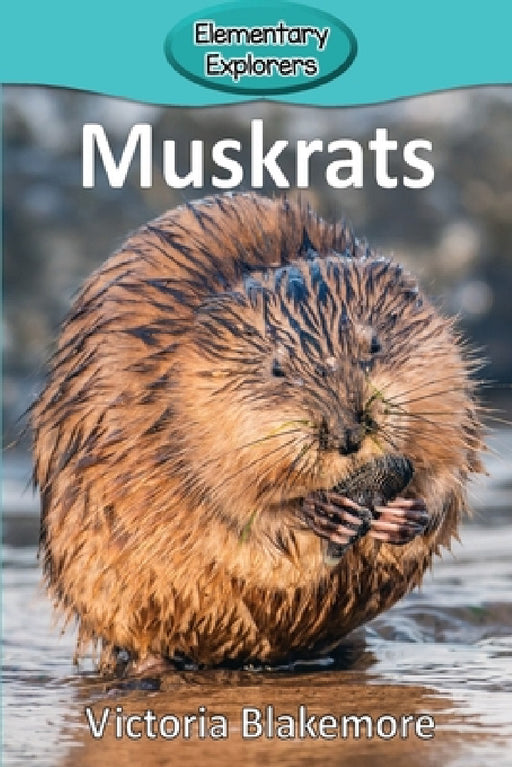 Muskrats by Victoria Blakemore