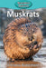 Muskrats by Victoria Blakemore