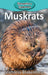 Muskrats by Victoria Blakemore