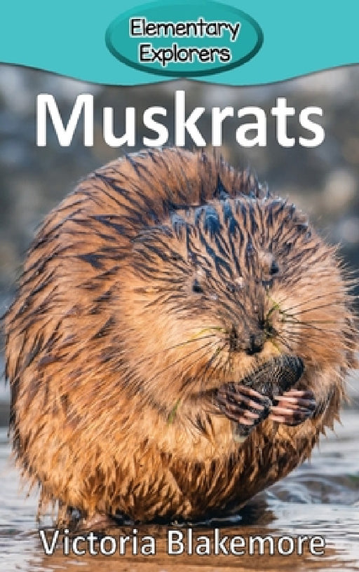 Muskrats by Victoria Blakemore