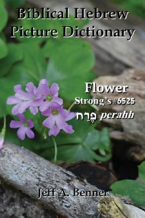 Biblical Hebrew Picture Dictionary by Jeff A. Benner