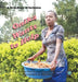 Onika Wants to Help: A True Story of Inclusion by Jo Meserve Mach