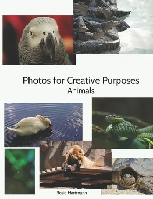 Photos For Creative Purposes: Animals by Chris Sprenger