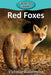 Red Foxes by Victoria Blakemore