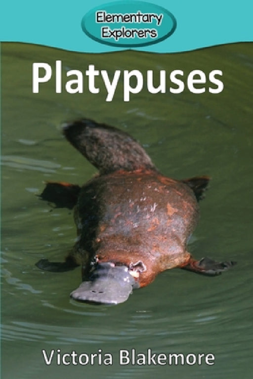 Platypuses by Victoria Blakemore