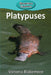 Platypuses by Victoria Blakemore