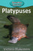 Platypuses by Victoria Blakemore