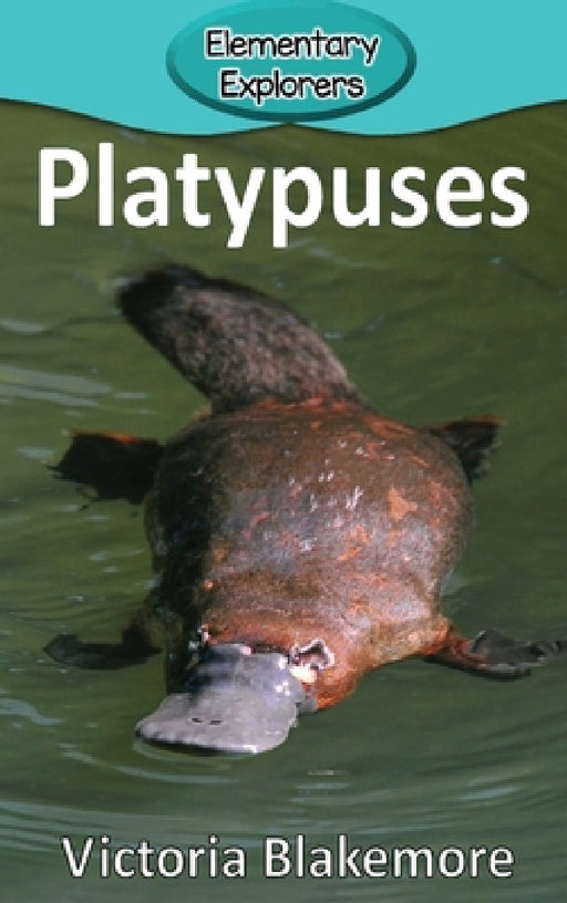 Platypuses by Victoria Blakemore