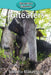 Anteaters by Victoria Blakemore