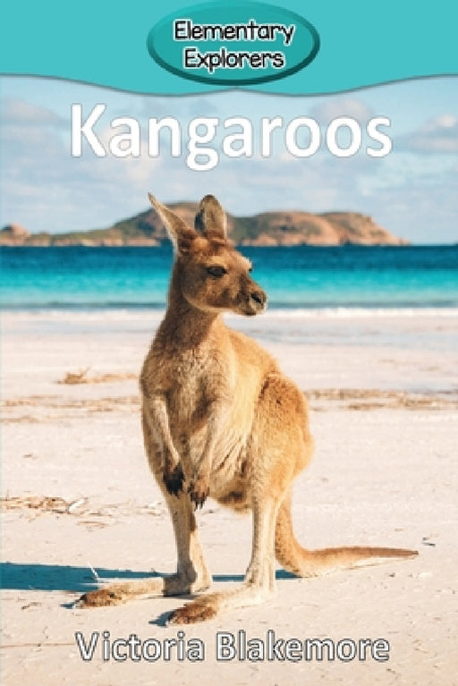 Kangaroos by Victoria Blakemore