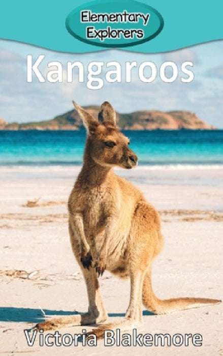 Kangaroos by Victoria Blakemore
