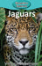 Jaguars by Victoria Blakemore