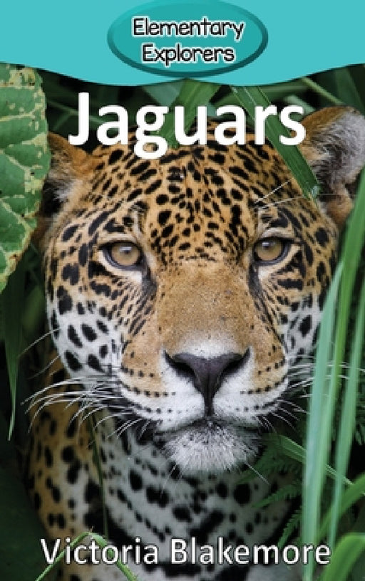 Jaguars by Victoria Blakemore