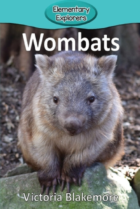 Wombats by Victoria Blakemore