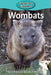 Wombats by Victoria Blakemore