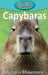 Capybaras by Victoria Blakemore